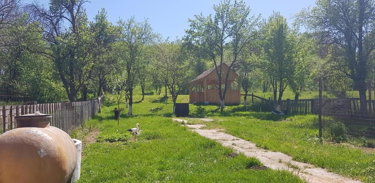 Вілла Viscri 143 Екстер'єр фото
